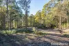 297 Pelverata Road, Sandfly, Tas 7150-Image