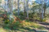 297 Pelverata Road, Sandfly, Tas 7150-Image