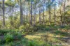 297 Pelverata Road, Sandfly, Tas 7150-Image