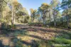 297 Pelverata Road, Sandfly, Tas 7150-Image