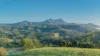 2981 Kyogle Road, Kunghur, NSW 2484-Image