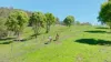 2981 Kyogle Road, Kunghur, NSW 2484-Image