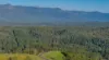 2981 Kyogle Road, Kunghur, NSW 2484-Image