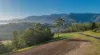 2981 Kyogle Road, Kunghur, NSW 2484-Image