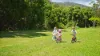 2981 Kyogle Road, Kunghur, NSW 2484-Image