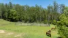 2981 Kyogle Road, Kunghur, NSW 2484-Image