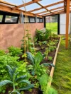 29871 Tasman Highway, Weldborough, Tas 7264-Image