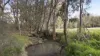 2A Railway Street, Branxton, NSW 2335-Image