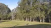 2A Railway Street, Branxton, NSW 2335-Image
