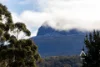 2A Schell Street, Rossarden, Tas 7213-Image
