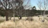 3-7 Coronation Avenue, Rossarden, Tas 7213-Image