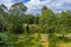 3 Baupleview Road, St Mary, Qld 4650-Image