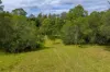 3 Baupleview Road, St Mary, Qld 4650-Image