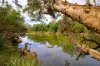3 Baupleview Road, St Mary, Qld 4650-Image