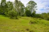 3 Baupleview Road, St Mary, Qld 4650-Image
