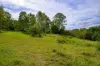 3 Baupleview Road, St Mary, Qld 4650-Image