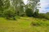 3 Baupleview Road, St Mary, Qld 4650-Image