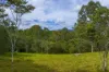 3 Baupleview Road, St Mary, Qld 4650-Image
