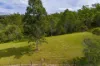 3 Baupleview Road, St Mary, Qld 4650-Image