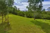 3 Baupleview Road, St Mary, Qld 4650-Image