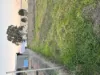 3 Beechcraft Court, Inglewood, Qld 4387-Image