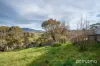 3 Boronia Place, Gagebrook, Tas 7030-Image