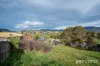 3 Boronia Place, Gagebrook, Tas 7030-Image