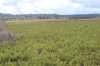 3 Briggs Road, Swan Creek, Qld 4370-Image