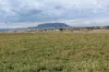 3 Briggs Road, Swan Creek, Qld 4370-Image