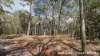 3 Canopy Crescent, Russell Island, Qld 4184-Image