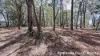 3 Canopy Crescent, Russell Island, Qld 4184-Image