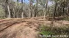 3 Canopy Crescent, Russell Island, Qld 4184-Image