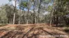 3 Canopy Crescent, Russell Island, Qld 4184-Image