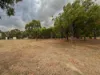 3 Crouch Court, Mount Barker, WA 6324-Image