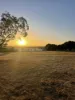 3 Crouch Court, Mount Barker, WA 6324-Image