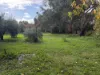 3 Daly Street, Auburn, SA 5451-Image