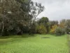 3 Daly Street, Auburn, SA 5451-Image