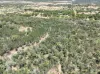 3 Denora Avenue, Gunnedah, NSW 2380-Image