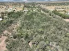 3 Denora Avenue, Gunnedah, NSW 2380-Image