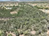 3 Denora Avenue, Gunnedah, NSW 2380-Image