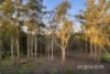 3 Elaine Place, Middle Dural, NSW 2158-Image