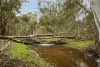 3 Firetail Bend, Parkerville, WA 6081-Image