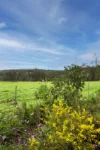 3 Firetail Bend, Parkerville, WA 6081-Image