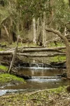 3 Firetail Bend, Parkerville, WA 6081-Image