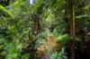 3 Greendale Court, Jubilee Heights, Qld 4860-Image