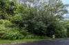 3 Greendale Court, Jubilee Heights, Qld 4860-Image