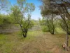 3 Lillian Street, Rye, Vic 3941-Image