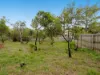 3 Lillian Street, Rye, Vic 3941-Image