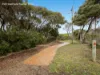 3 Lillian Street, Rye, Vic 3941-Image