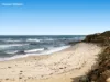 3 Lillian Street, Rye, Vic 3941-Image